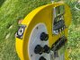 Rickenbacker 4001/4 C64, TV Yellow: Close up - Free