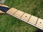 Rickenbacker 380/6 Laguna piezo, Natural: Neck - Front