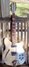 Rickenbacker 360/12 , Mapleglo: Full Instrument - Front