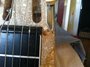 Rickenbacker 100/6 LapSteel, Two tone brown: Free image