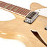 Rickenbacker 360/12 , Mapleglo: Neck - Front