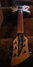Rickenbacker 230/6 Refin, Natural: Headstock