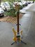 Rickenbacker 4001/4 FL, Mapleglo: Full Instrument - Front