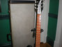 Rickenbacker 450/6 Mod, Jetglo: Neck - Front