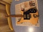 Rickenbacker 481/6 Slant Fret, Mapleglo: Free image