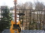 Rickenbacker 3000/4 BT, Mapleglo: Full Instrument - Front