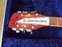 Rickenbacker 360/12 V64, Fireglo: Headstock