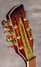 Rickenbacker 700/12 PW Build (acoustic), Autumnglo: Free image2