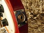 Rickenbacker 4003/8 S, Fireglo: Close up - Free