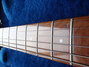 Rickenbacker 340/6 , Walnut: Neck - Front