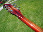 Rickenbacker 1998/6 f hole, Fireglo: Neck - Rear