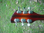 Rickenbacker 1998/6 PT, Fireglo: Headstock - Rear