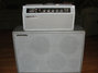 Rickenbacker B-16/amp Head and Cab, Silver: Body - Front