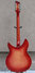 Rickenbacker 360/12 WB, Fireglo: Full Instrument - Rear