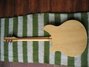 Rickenbacker 360/6 , Mapleglo: Full Instrument - Rear