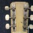 Rickenbacker 59/6 LapSteel, Cream: Headstock - Rear