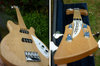 Rickenbacker 2020/4 , Mapleglo: Close up - Free