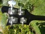 Rickenbacker 4003/4 S, Jetglo: Headstock - Rear