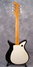 Rickenbacker 1000/6 Tulip, Jetglo: Full Instrument - Rear