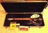 Rickenbacker 360/6 , Midnightblue: Free image2