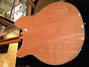 Rickenbacker 370/12 RM, Mapleglo: Free image