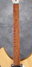 Rickenbacker 330/12 , Mapleglo: Neck - Front