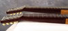 Rickenbacker D16/2 X 8 LapSteel, Copper: Free image