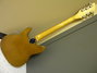 Rickenbacker 430/6 BT, Mapleglo: Full Instrument - Rear