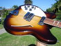 Rickenbacker 360/12 , MonteBrown: Free image2