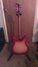 Rickenbacker 330/6 , Fireglo: Full Instrument - Rear