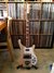 Rickenbacker 4003/4 , Mapleglo: Full Instrument - Front