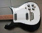 Rickenbacker 450/12 , Jetglo: Body - Front