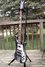 Rickenbacker 4003/4 , Midnightblue: Full Instrument - Front