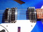 Rickenbacker 330/12 , Blueburst: Free image