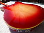 Rickenbacker 360/12 , Amber Fireglo: Full Instrument - Rear