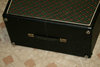 Rickenbacker Transonic 202 Cab/amp , Black: Close up - Free2