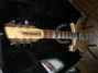 Rickenbacker 660/12 , Mapleglo: Neck - Front