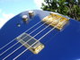 Rickenbacker 4004/4 Laredo, Midnightblue: Free image