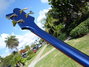 Rickenbacker 4004/4 Laredo, Midnightblue: Neck - Rear