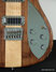 Rickenbacker 650/6 Dakota, Walnut: Free image