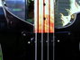 Rickenbacker 4001/4 Mod, Jetglo: Close up - Free