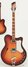 Rickenbacker 360/12 F, Autumnglo: Full Instrument - Front