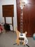 Rickenbacker 4001/4 , Mapleglo: Full Instrument - Front