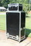 Rickenbacker Transonic 200 Cab/amp , Black: Free image2