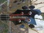 Rickenbacker 4003/4 Blackstar, Jetglo: Headstock
