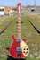 Rickenbacker 660/12 , Burgundy: Full Instrument - Front