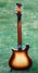 Rickenbacker 660/12 , MonteBrown: Full Instrument - Rear