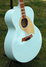 Rickenbacker 700/12 PW Build (acoustic), Blue Boy: Close up - Free