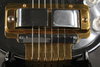 Rickenbacker G/6 LapSteel, Silver: Close up - Free