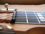 Rickenbacker 102/6 LapSteel, Blonde: Free image